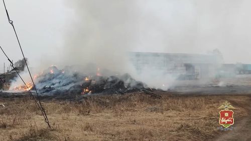 Скриншот кадра видео МВД по Хакасии